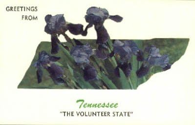 Üdvözlet, Tennessee Képeslap