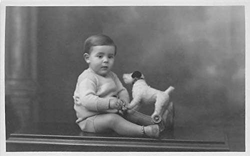 Az emberek, a Gyerekek Lefényképezték a Képeslap, Régi, Vintage Antik képeslap Kis gyermek, a kutya fel nem Használt játék