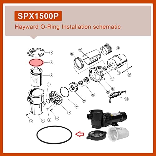Csere SPX1500P Medence Szivattyú Szűrő Fedél O-Gyűrű Hayward Power-flo 1500 Sorozat, LX, 1700 sorozat（2/Csomag）